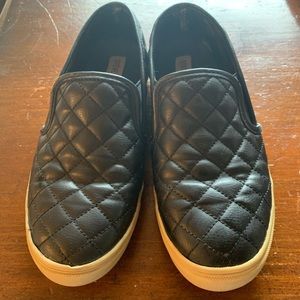WOMEN'S STEVE MADDEN ECENTRCQ slip on sneaker